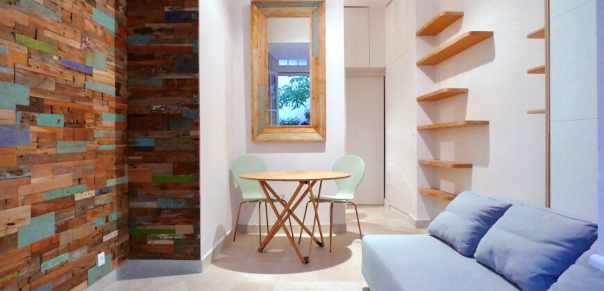 Panthéon – Studio 31 m² Meublé et Rénové sur cour