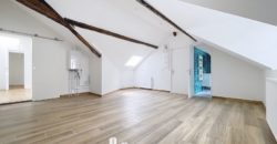 Goncourt – Atypique 2 Pièces 53 m² Rénové
