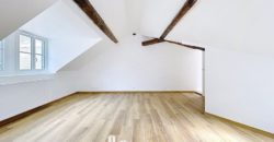 Goncourt – Atypique 2 Pièces 53 m² Rénové