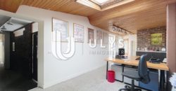 Chatelet – Bureau 15 Pièces 395 m² à Rénover