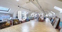 Chatelet – Bureau 15 Pièces 395 m² à Rénover