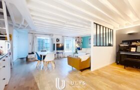 Havre-Caumartin – Duplex 2/3 Pièces 55 m²